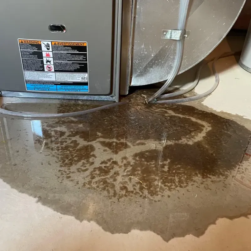 Appliance Leak Cleanup in Winslow, ME